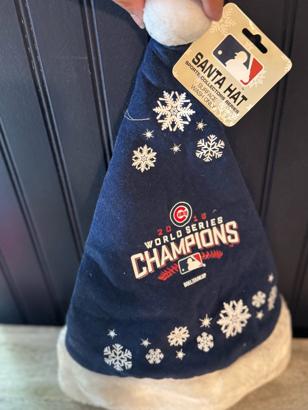 MLB Chicago Cubs Navy and White World Series Champions Hat
